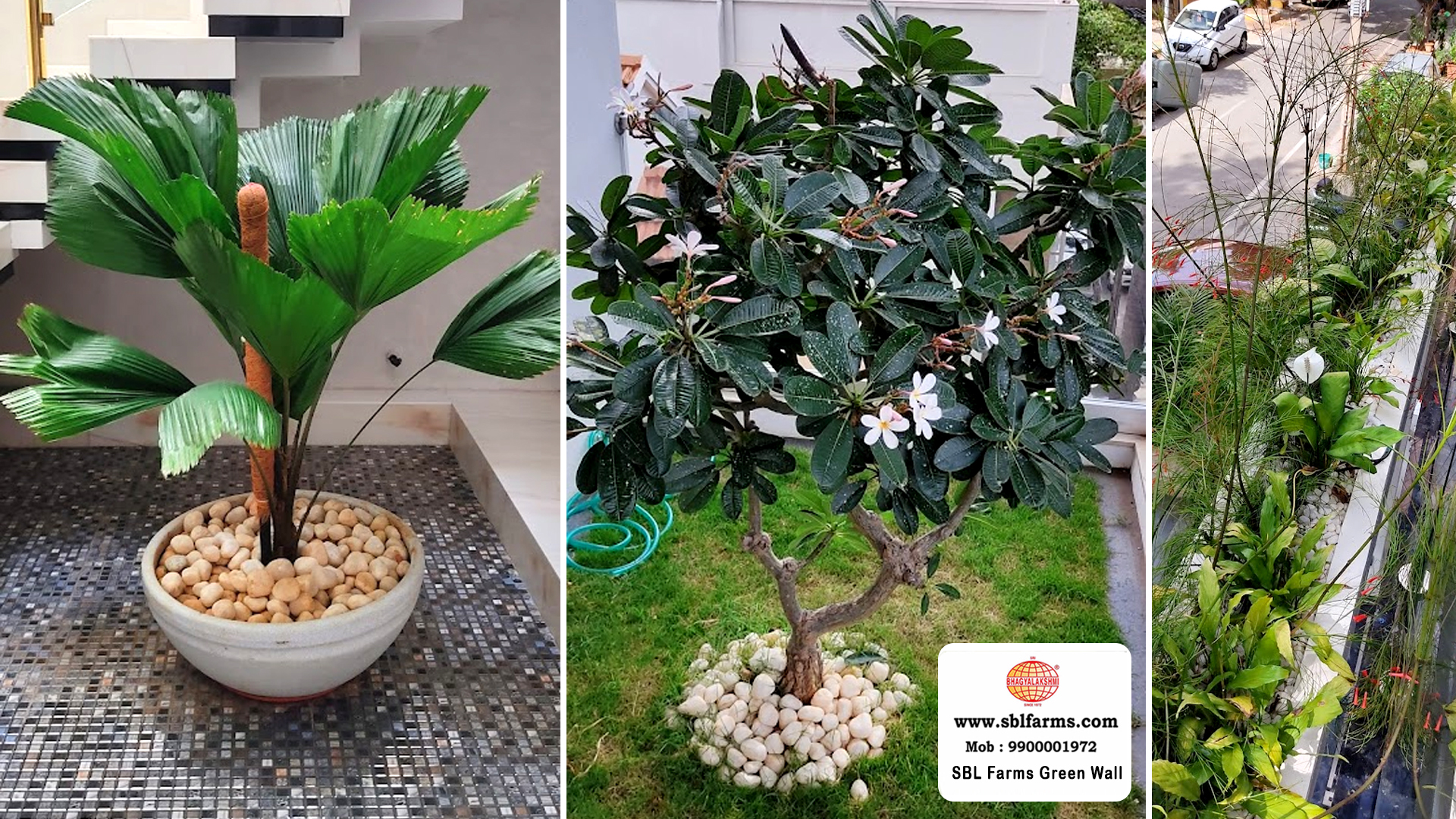 Sbl Farms Green walls and Living walls, Vertical Garden, Bio Curtains, Green wall or vertical garden design for Residence and hotel and resturent in bangalore